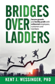 Bridges And Ladders