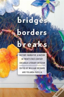 Capa do artigo Bridges, Borders, And Breaks