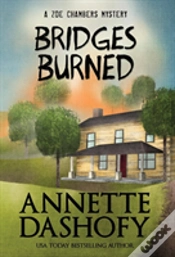 Capa do artigo Bridges Burned