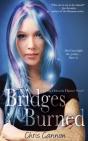 Bridges Burned - Preview