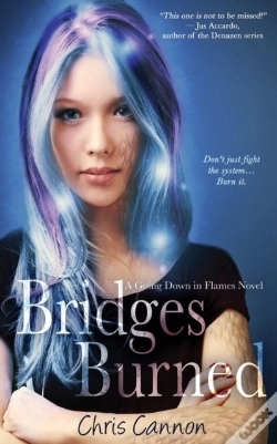 Capa do artigo Bridges Burned