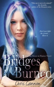 Capa do artigo Bridges Burned