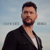 Capa do artigo Bridges - CD