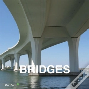 Capa do artigo Bridges