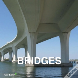 Capa do artigo Bridges