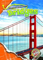 Capa do artigo Bridges