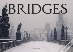 Capa do artigo Bridges