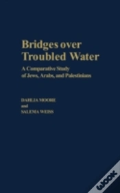 Capa do artigo Bridges Over Troubled Water