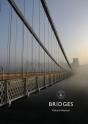 Bridges - Preview