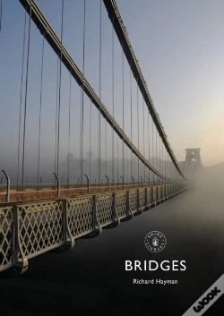 Capa do artigo Bridges