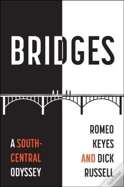 Capa do artigo Bridges