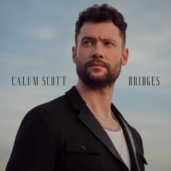 Capa do artigo Bridges - Vinil