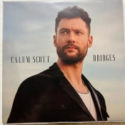 Capa do artigo Bridges - Vinil