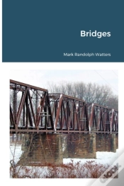 Capa do artigo Bridges