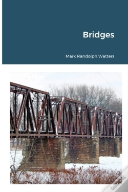 Capa do artigo Bridges