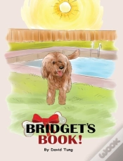 Capa do artigo Bridget