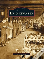 Capa do artigo Bridgewater