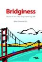 Bridginess - Preview