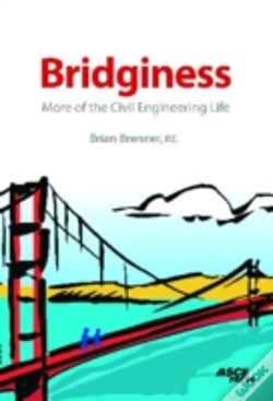 Capa do artigo Bridginess