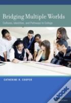 Bridging Multiple Worlds