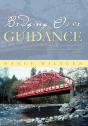 Bridging Over With Guidance - Preview