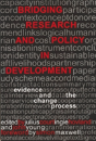 Bridging Research And Policy In Development - Preview