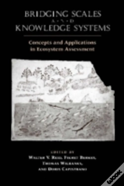 Capa do artigo Bridging Scales And Knowledge Systems