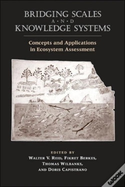 Capa do artigo Bridging Scales And Knowledge Systems