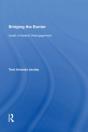 Bridging The Barrier - Preview