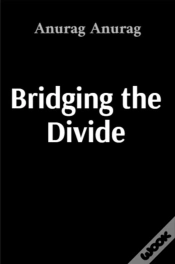 Capa do artigo Bridging The Divide