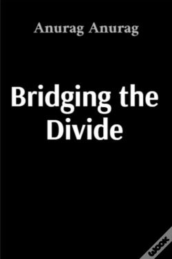 Capa do artigo Bridging The Divide