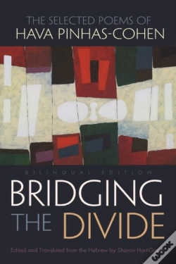 Capa do artigo Bridging The Divide
