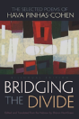Bridging The Divide - Preview