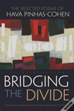 Capa do artigo Bridging The Divide