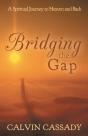 Bridging The Gap - Preview