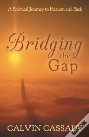 Capa do artigo Bridging The Gap