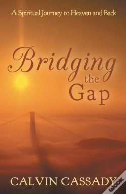 Capa do artigo Bridging The Gap