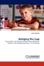 Bridging The Gap - Preview