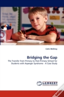Capa do artigo Bridging The Gap
