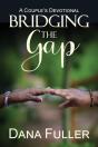 Bridging The Gap - Preview