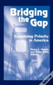 Capa do artigo Bridging The Gap