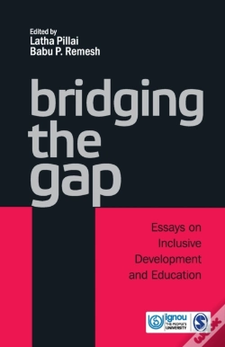 Capa do artigo Bridging The Gap