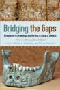 Bridging The Gaps - Preview