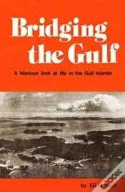 Capa do artigo Bridging The Gulf