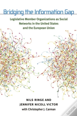 Capa do artigo Bridging The Information Gap