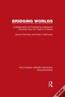 Capa do artigo Bridging Worlds