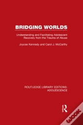 Bridging Worlds