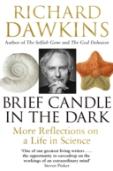 Brief Candle In The Dark