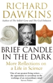 Capa do artigo Brief Candle In The Dark