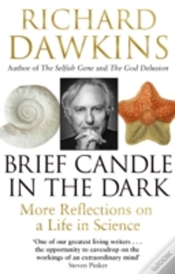 Capa do artigo Brief Candle In The Dark